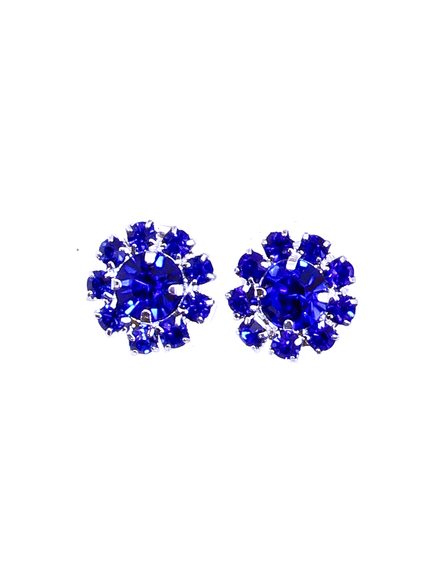 Bling Earrings
