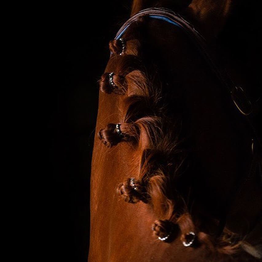 Rhinestone Braid Bling