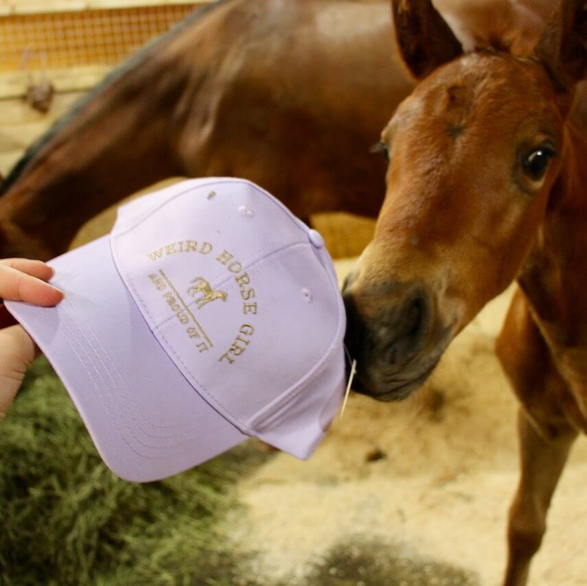 Weird Horse Girl Ringside Hat